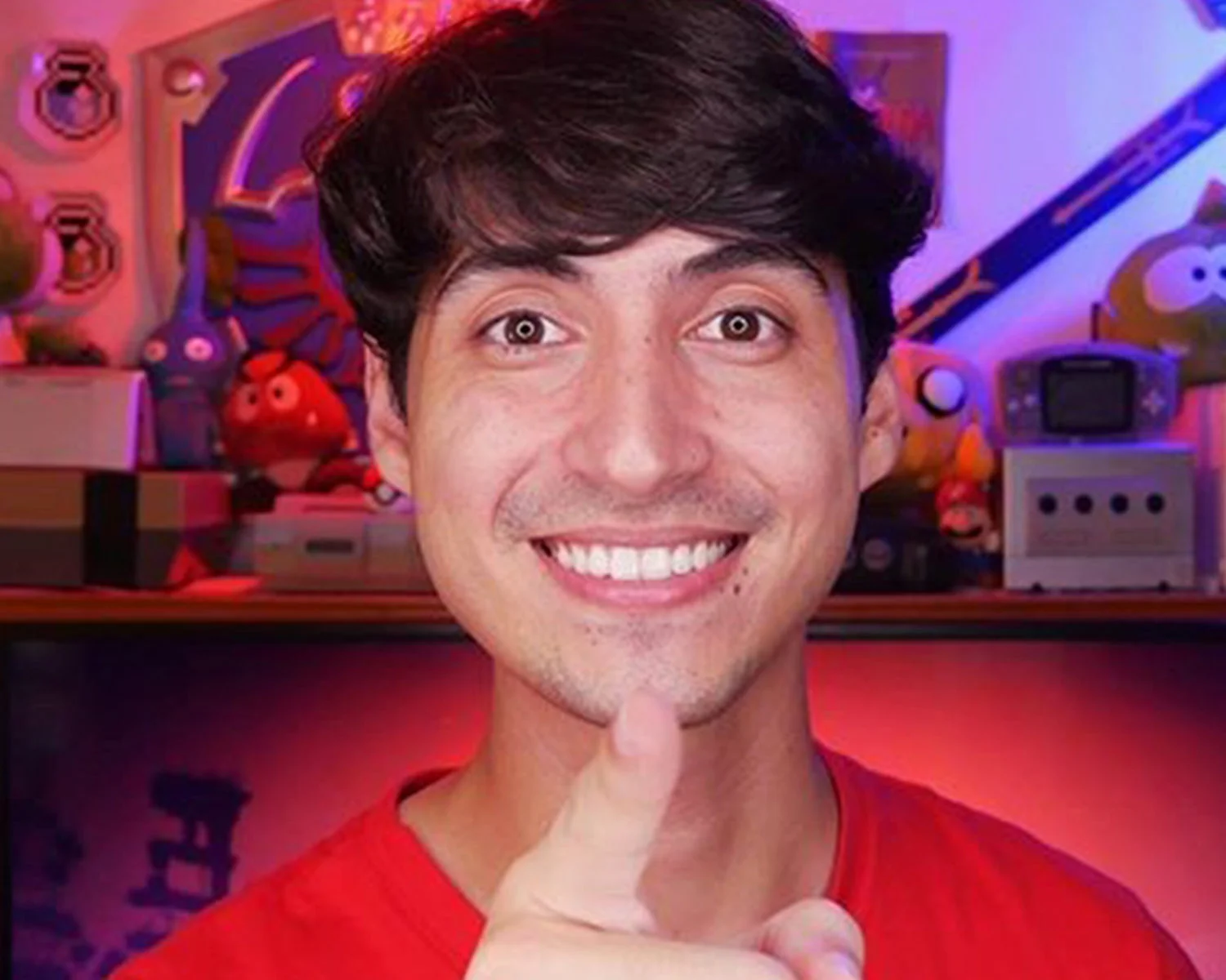 Coelho no Japão