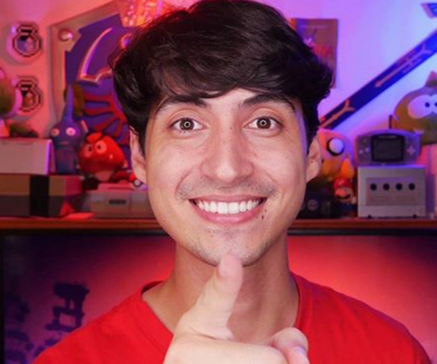 Coelho no Japão