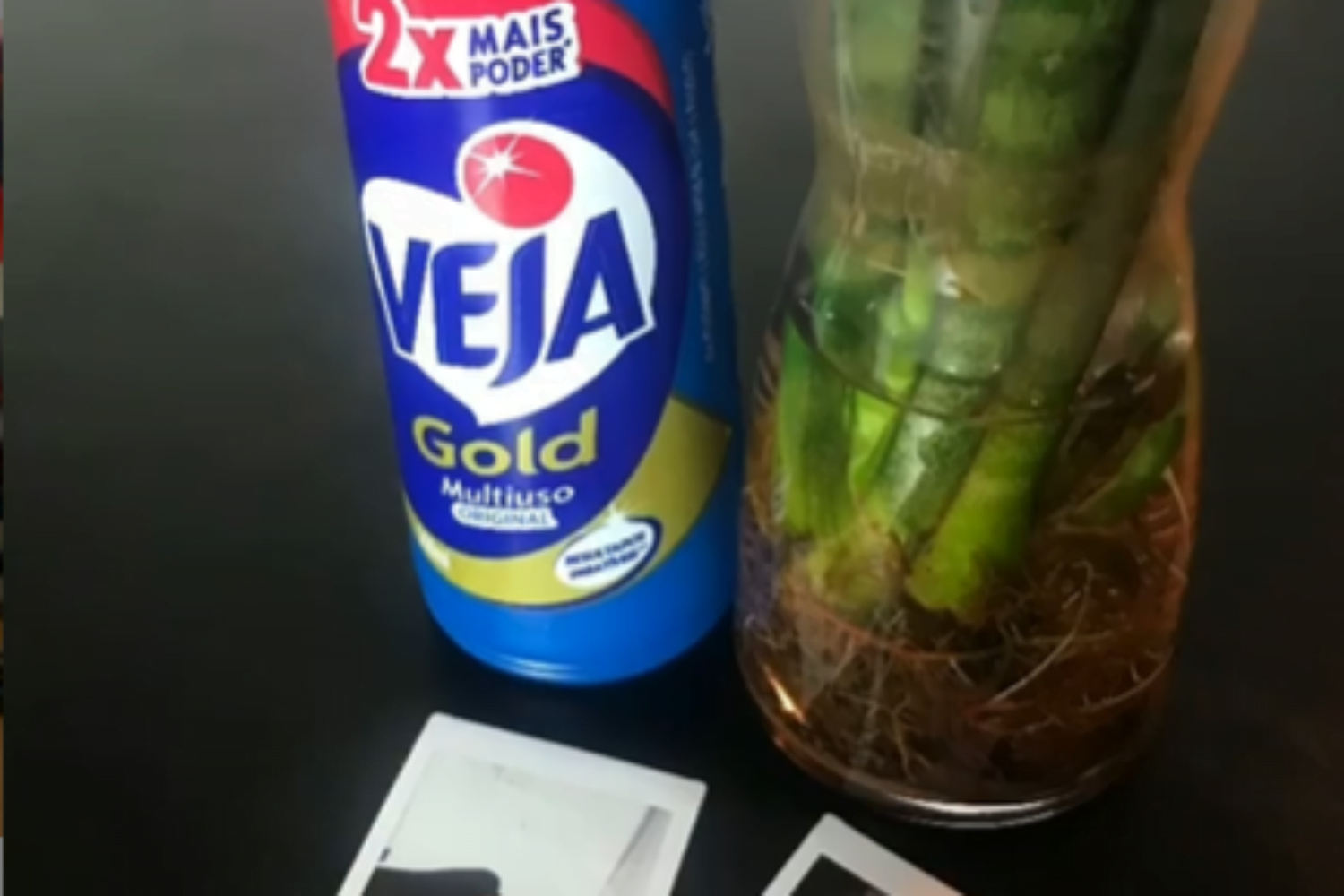 Andreza Delgado para Veja